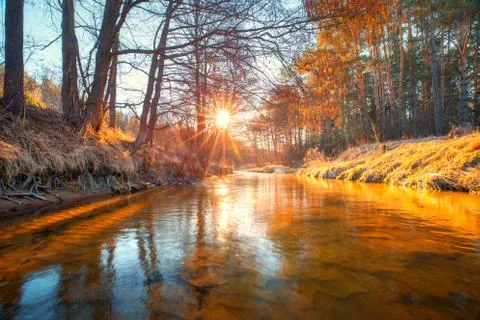 Autumn dawn Stock Photos