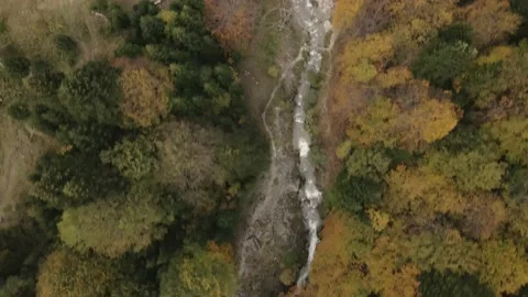 Autumn day in forest Stock Footage 141413657
