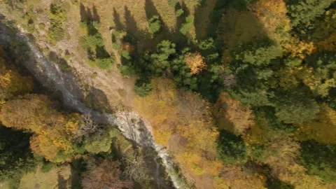 Autumn day in forest Stock Footage 141414363
