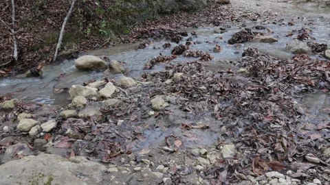 Autumn day on a mountain river, a small stream of water rushes to the big water Stock Footage 256736521