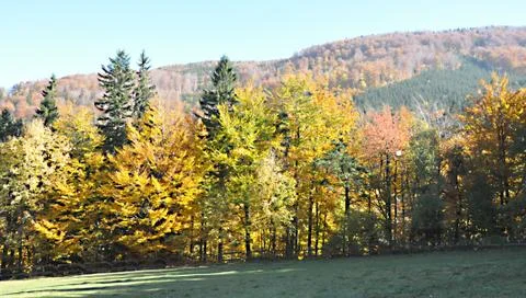 Autumn day Stock Photos