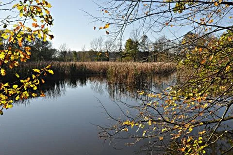 Autumn day Stock Photos