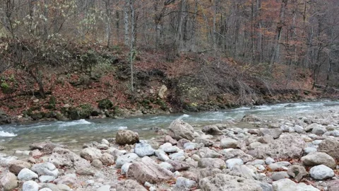An autumn day, a shallow riverbed with an exposed riverbed and a rocky bottom Stock Footage 295587370
