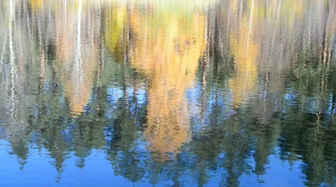 Autumn daylight landscape reflected in water,  fall forest tree, environment. Stock Footage 34990830