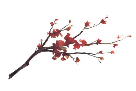 Autumn deciduous tree branch with red, orange and warm brown leaves. Waterc.. イラスト素材