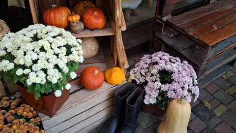 Autumn decor Vídeos de archivo 346715779