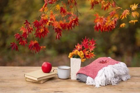 Autumn decor frames cozy picnic. Floral decor centers warm table. Rustic deco Stock Photos