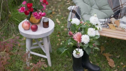 Autumn decor on the garden plot, a bench with a warm blanket and a table with Stock Footage 161696148
