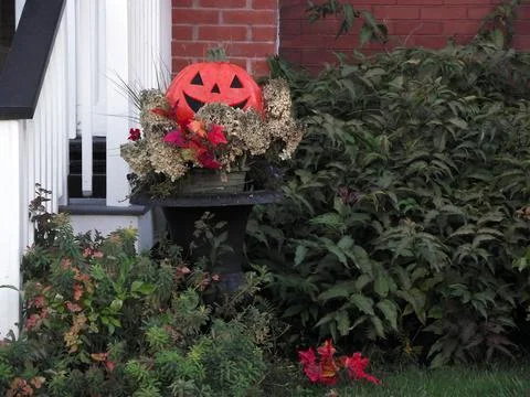 Autumn Decor Stock Photos