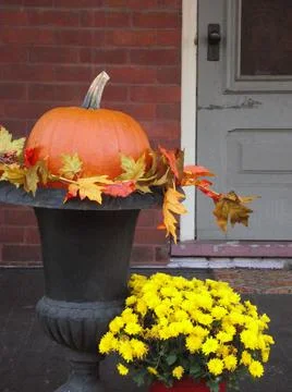 Autumn Decor Stock Photos