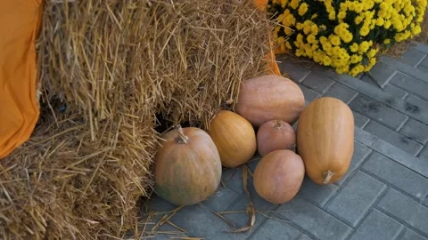 Autumn decor with straw bale, pumpkins, flowers. Stock Footage 141605688