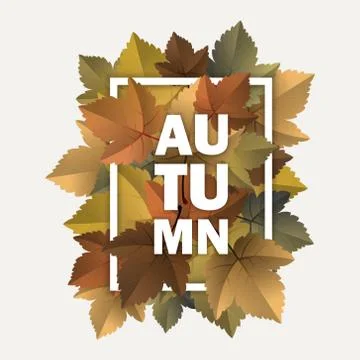 Autumn decoration Stock Illustration