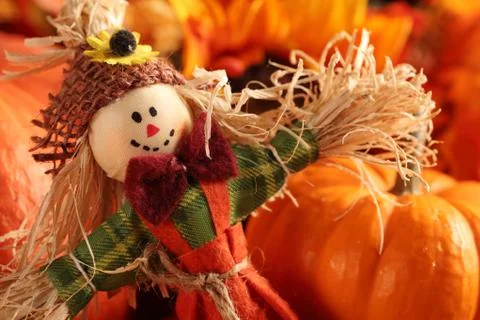 Autumn decoration Stock Photos