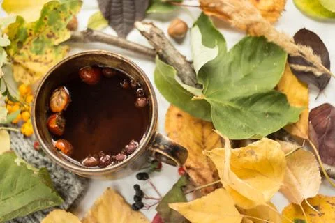 Autumn decoration Stock Photos