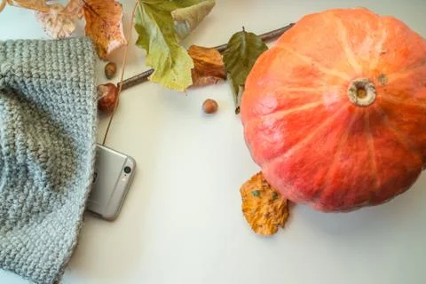 Autumn Decoration Stock Photos