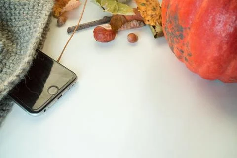 Autumn Decoration Stock Photos