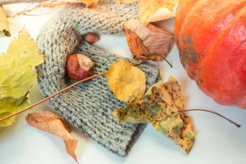 Autumn Decoration Stock Photos