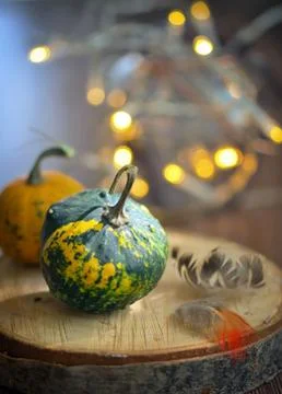 Autumn decoration with small pumpkins Free Stock Photos