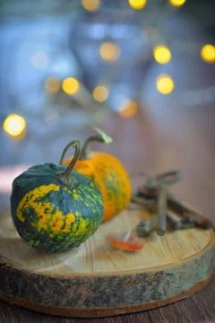 Autumn decoration with small pumpkins Free Stock Photos