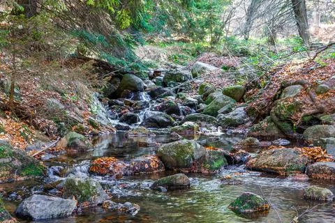 Autumn decoration of a stream in Vitosha Mountain, Stock Photos