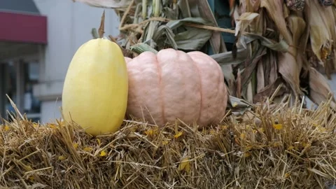 Autumn Decorations 4K 動画素材 140365583