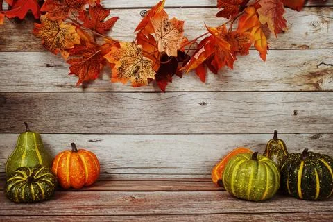 Autumn Decorations with Maple Leaf and Pumpkins on wooden background 写真素材