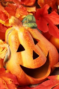 Autumn decorations Stock Photos