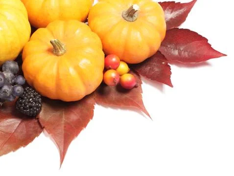 Autumn decorations Stock Photos