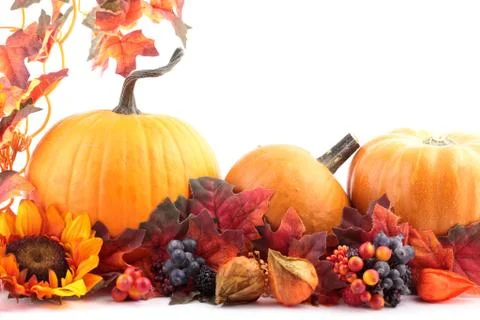Autumn decorations Stock Photos