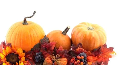 Autumn decorations Stock Photos