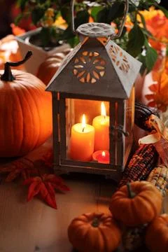 Autumn decorations Stock Photos