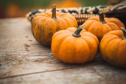 Autumn decorations Foto stock