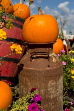 Autumn decorations Stock Photos