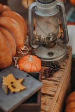 Autumn decorations Stock Photos