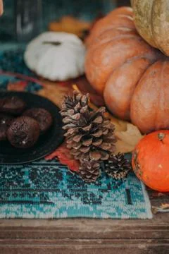 Autumn decorations Stock Photos