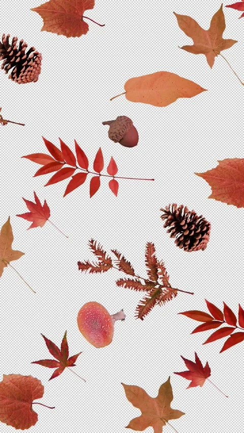 Autumn Decorative Assets for Fall-Themed Motion Graphics Stock Footage 338314747