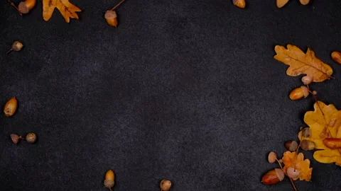 Autumn decorative dark competition or frame with copy space for text with autumn Stock Footage 167473615