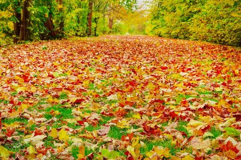 Autumn in Denmark Stock Photos