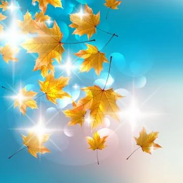 Autumn design background. Stock Illustration