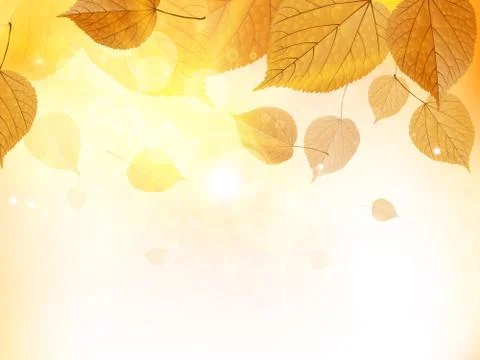 Autumn design background with leaves Stock Illustration