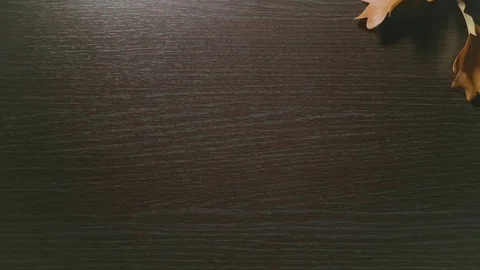 Autumn design. Creative basis for embroidering inscriptions and logos. Laying  Stock Footage 80211678