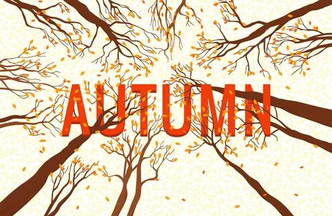 Autumn Design Illustrations. Trees pattern. Stock Illustration