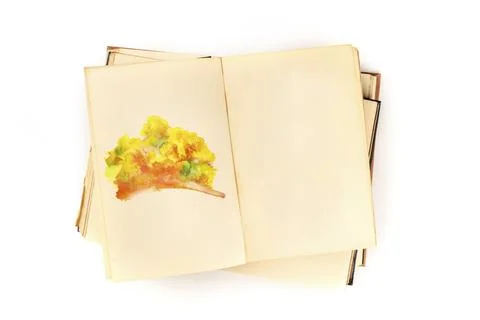 Autumn design template. An open book with a watercolour sketch of fall trees. An Stock-Illustration