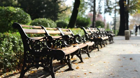 Autumn Desolated Benches Stock Footage 32184855