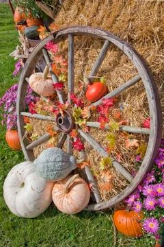 Autumn display Stock Photos