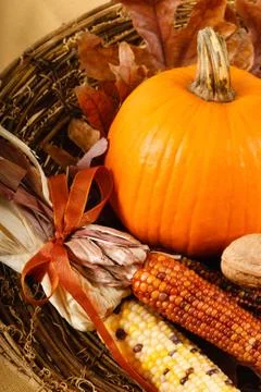 Autumn Display of a Pumpkin and Colorful Dried Corn In A Basket Stock Photos