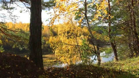 Autumn in a dolomite quarry Stock Footage 165734396