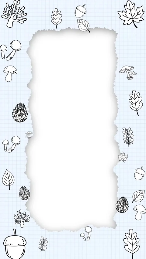 Autumn Doodle Frame Animation with Ripped Paper and Falling Forest Elements Stock Footage 345120949