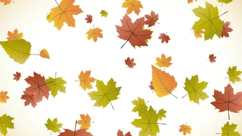 Autumn drawing animated background. Dead leaves falling. Seamless loop, 4k fo Stock Footage 217369469