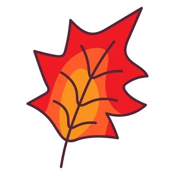 Autumn Dried Maple Tree Leaf Foliage Illustration Stock Illustration